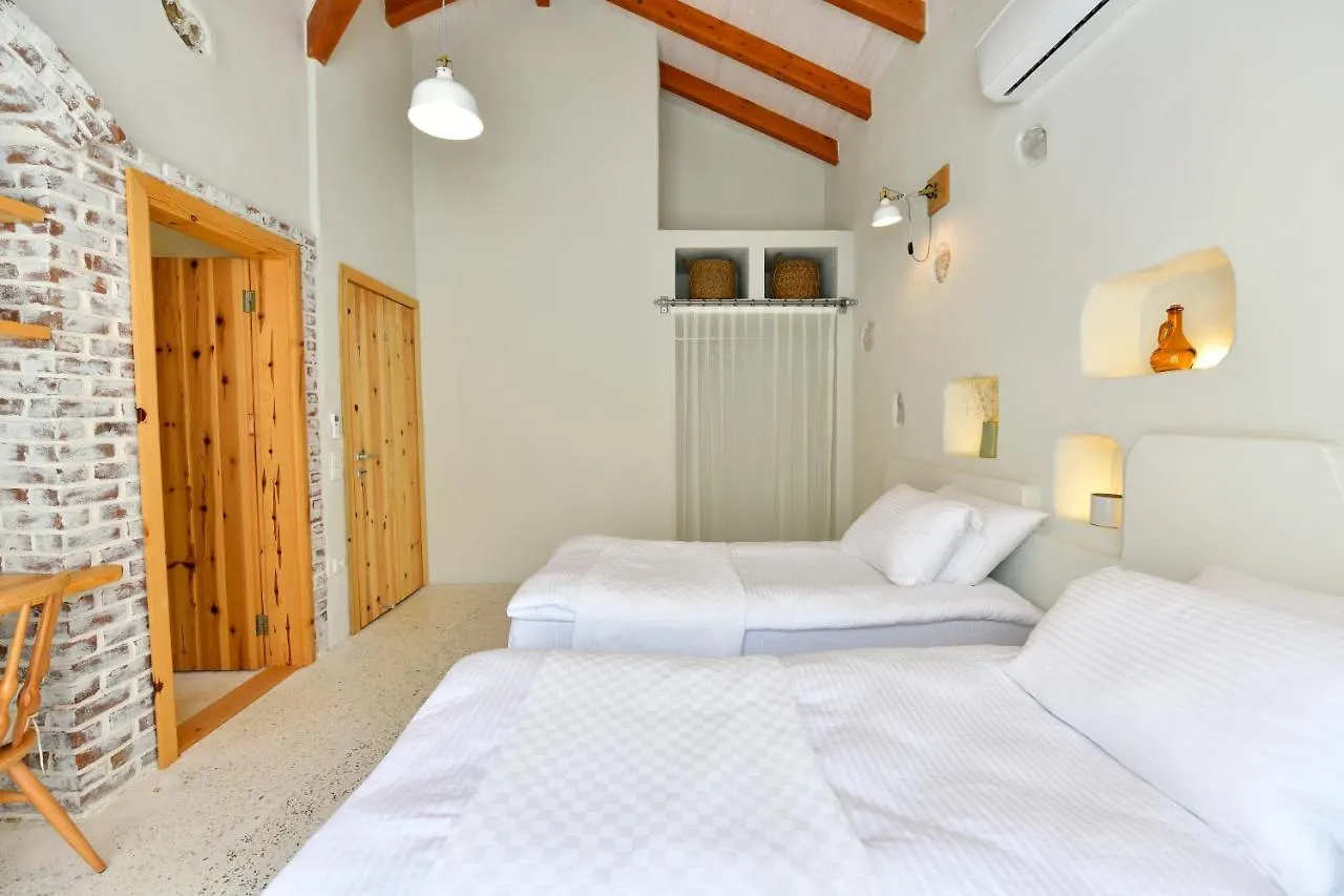 Sojoy Villa Art Fethiye