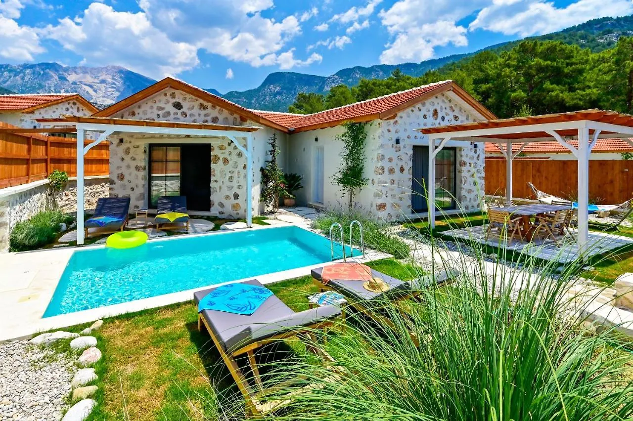Sojoy Villa Art Fethiye 0*,  Turkey